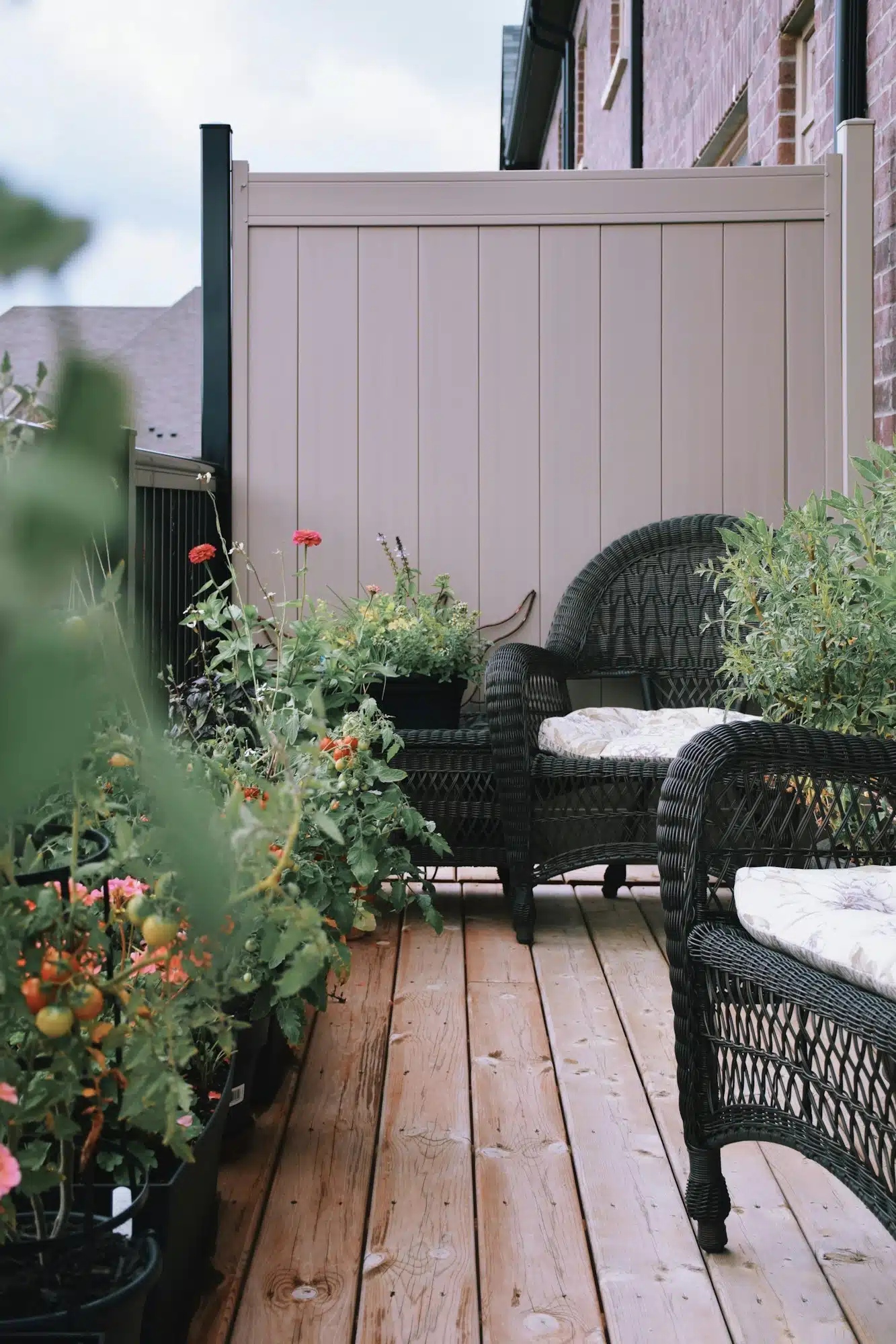 Achat de plantes d’extérieur : Pour quelles raisons ? Quelles variétés choisir ?