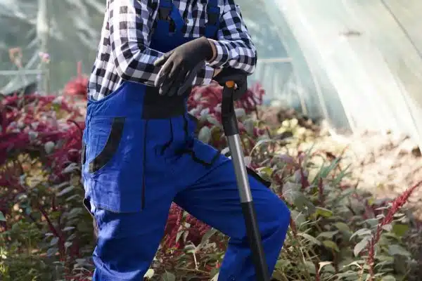 Quels sont les avantages et le tarif d’un jardinier ?